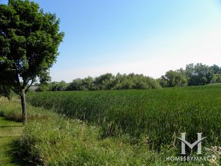 Victoria Park in Hoffman Estates, IL