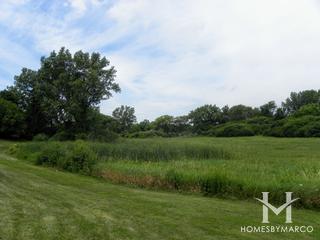 Seminole Nature Area in Hoffman Estates, IL