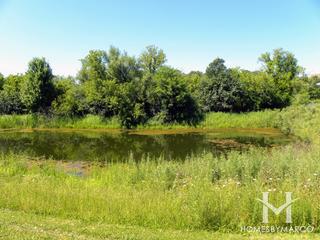 Hunters Ridge Wetlands East Park in Hoffman Estates, IL