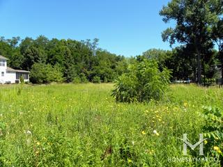 Hunters Ridge Basin Park in Hoffman Estates, IL