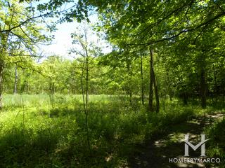 Messenger Woods Nature Preserve in Homer Glen, IL