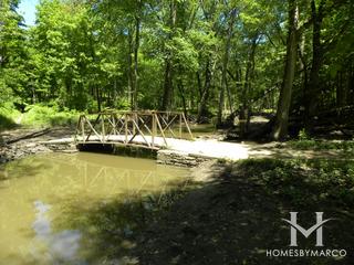 Messenger Woods Nature Preserve in Homer Glen, IL