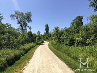 Messenger Marsh Forest Preserve in Homer Glen, IL