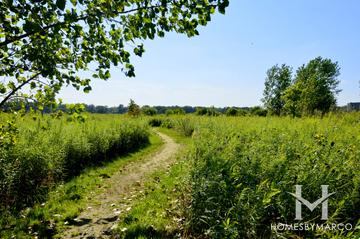 Photos of Middlefork Savanna Forest Preserve in Lake Forest, IL