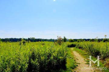 Middlefork Savanna Forest Preserve in Lake Forest, IL