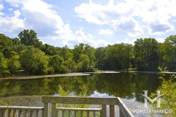 Captain Daniel Wright Woods Forest Preserve in Lake Forest, IL