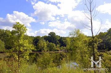 Captain Daniel Wright Woods Forest Preserve in Lake Forest, IL
