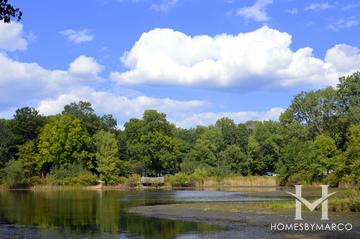 Captain Daniel Wright Woods Forest Preserve in Lake Forest, IL