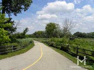 Hastings Lake Forest Preserve in Lake Villa, IL