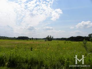 Sun Lake Forest Preserve in Lake Villa, IL