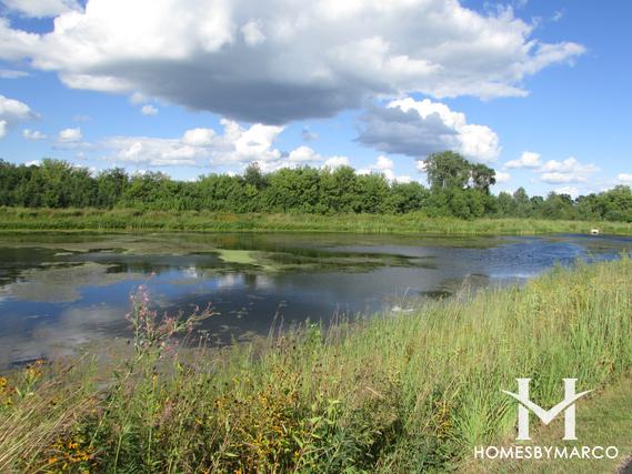 Friendship Park in Crystal Lake, IL