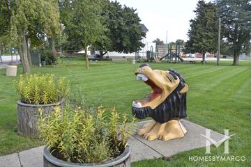 Photos of Lions Park in Lake Zurich, IL