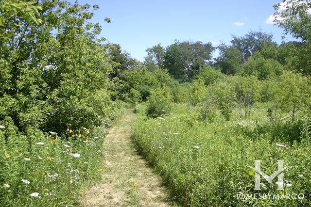 Prairie Ridge Conservation Area in Crystal Lake, IL