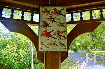 Bird Observation Area in Lake Zurich, IL