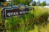 Quail Run Park