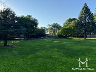 Emerson Park in Mount Prospect, IL