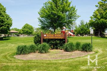 Photos of Busse Park in Mount Prospect, IL
