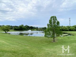 Photos of Robert T. Jackson Clearwater Park in Mount Prospect, IL