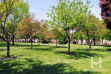 Tamarack Park in Mount Prospect, IL