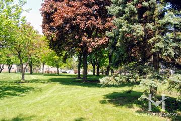Tamarack Park in Mount Prospect, IL