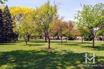 Tamarack Park in Mount Prospect, IL