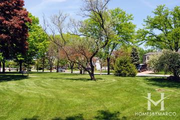 Tamarack Park in Mount Prospect, IL