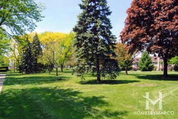Tamarack Park in Mount Prospect, IL