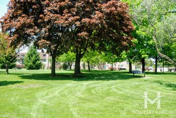 Tamarack Park in Mount Prospect, IL