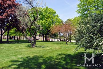 Tamarack Park in Mount Prospect, IL