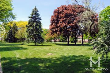 Tamarack Park in Mount Prospect, IL