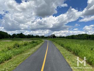Hickory Creek Forest Preserve in New Lenox, IL