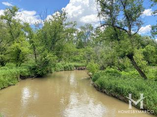 Hickory Creek Forest Preserve in New Lenox, IL