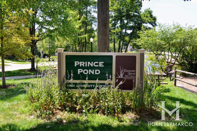 Prince Pond Park in Downers Grove, IL