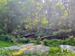 Potawatomi Woods Forest Preserve in New Lenox, IL