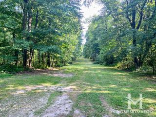 Potawatomi Woods Forest Preserve in New Lenox, IL