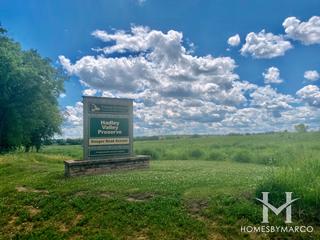 Photos of Hadley Valley Forest Preserve in New Lenox, IL