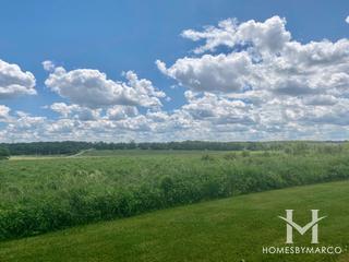 Hadley Valley Forest Preserve in New Lenox, IL