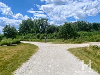 Hadley Valley Forest Preserve in New Lenox, IL