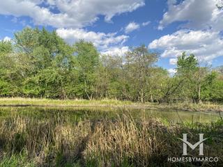 Fullersburg Woods Forest Preserve in Oak Brook, IL