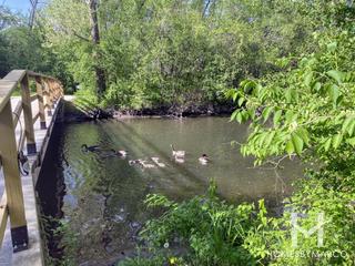 Fullersburg Woods Forest Preserve in Oak Brook, IL