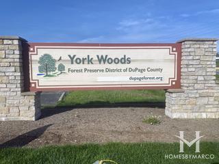 Photos of York Woods Forest Preserve in Oak Brook, IL