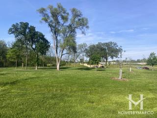 York Woods Forest Preserve in Oak Brook, IL