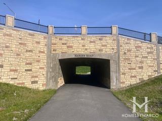 York Woods Forest Preserve in Oak Brook, IL