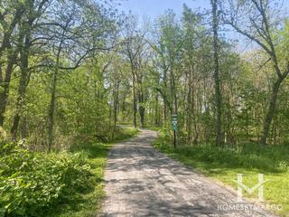 York Woods Forest Preserve in Oak Brook, IL