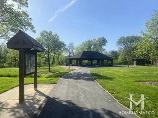 York Woods Forest Preserve in Oak Brook, IL