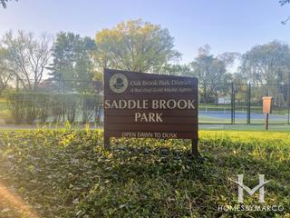 Photos of Saddlebrook Park in Oak Brook, IL