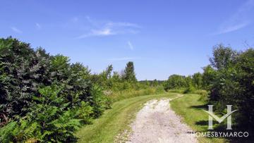 Arbor Lake Park in Orland Park, IL