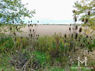 Avenel Park in Orland Park, IL