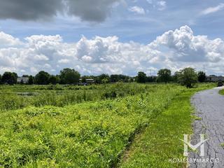 Eagle Ridge II Park in Orland Park, IL