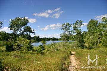 The Hollows Conservation Area in Cary, IL